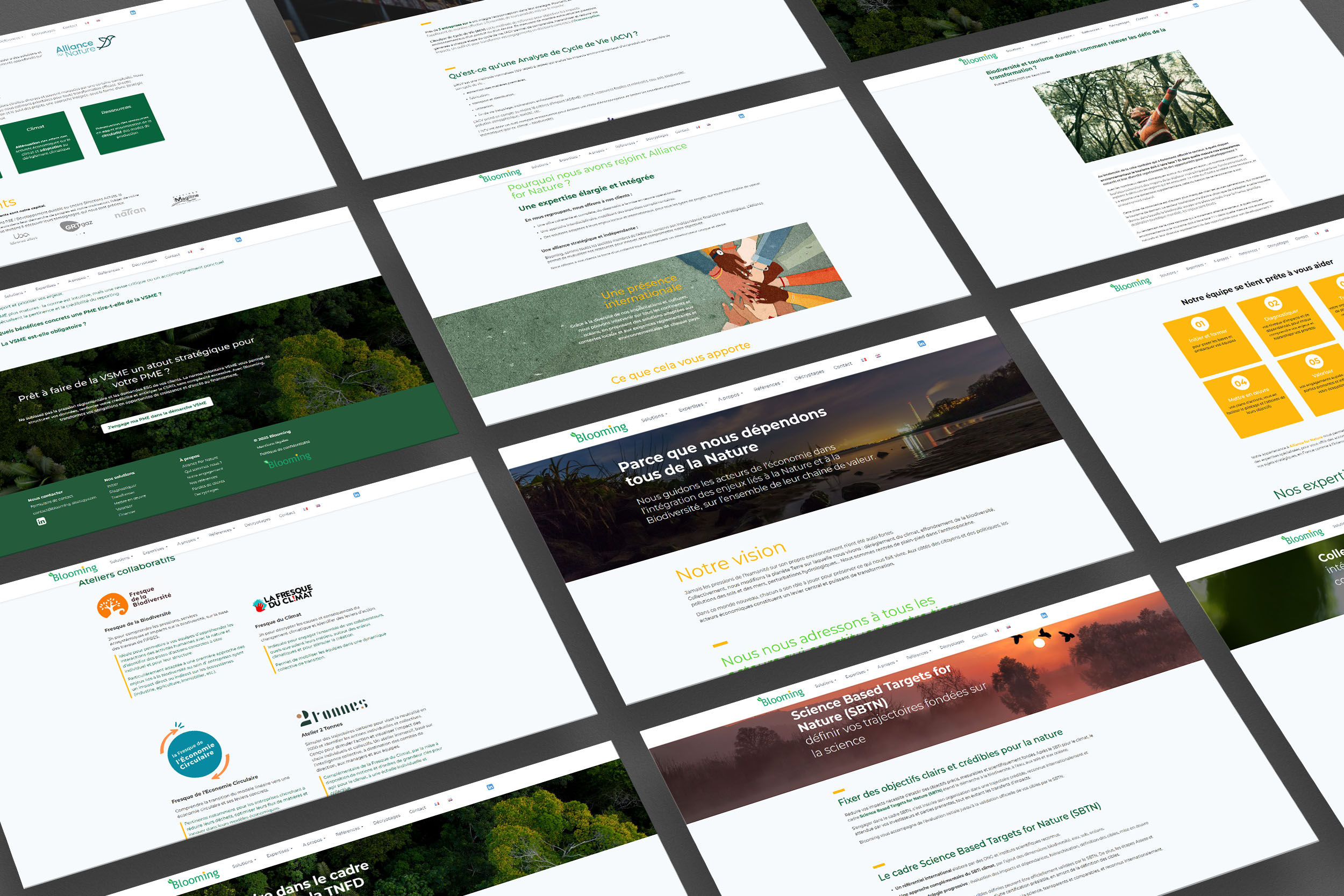 Blooming Strategy - mockup