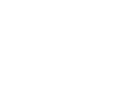 Logo Mon Webmaster